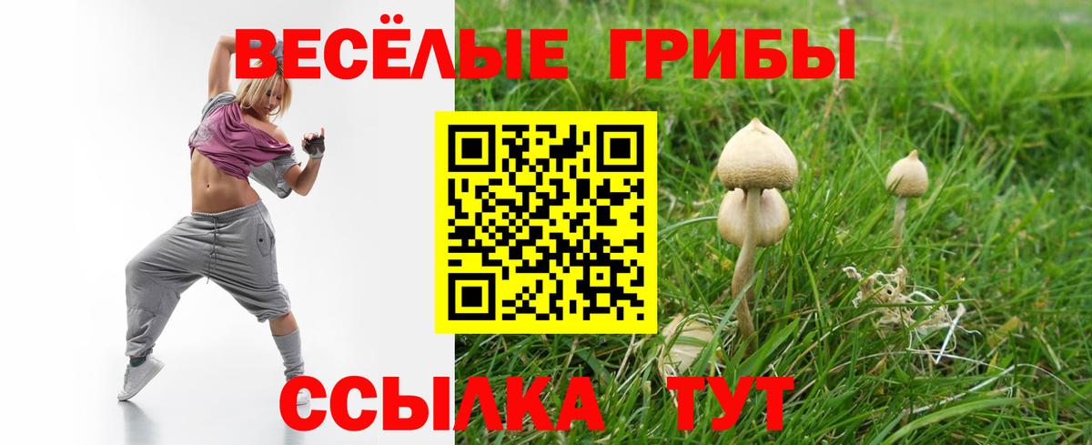 дарнет шоп  Вход с VPN  Галлюциногенные грибы мухоморы  Биробиджан  Галлюциногенные грибы Cubensis 